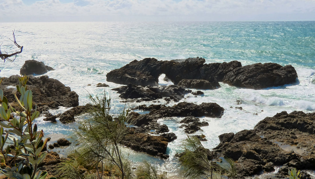 p010c.jpg